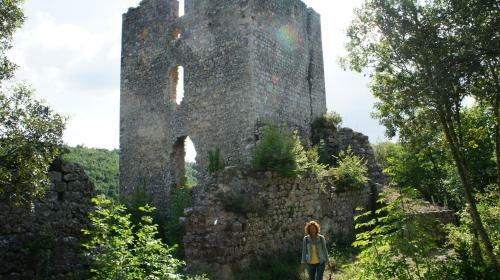 Villa Borgo La Fungaia
