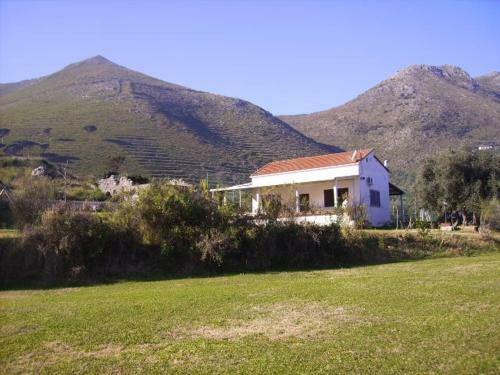 Azienda Agricola 25 Ponti
