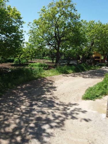 Agroturismo Casa Cambedda