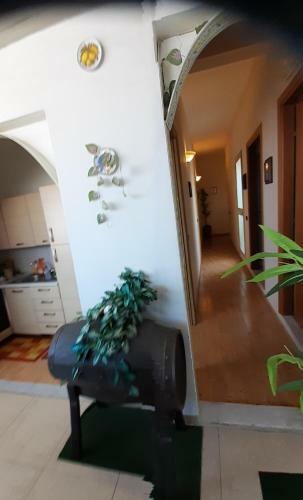 B&B Mistral Di Lizzio Salvatore