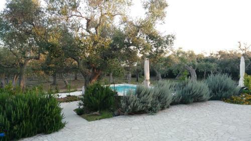 Villa Gli Ulivi