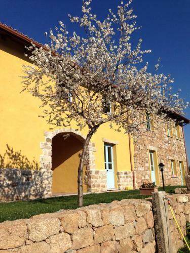 Agroturismo Agriturismo Is Conchisceddas