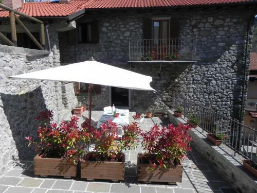 Agriturismo La Calamaia
