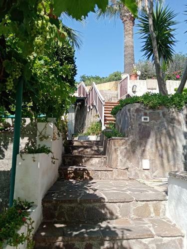 B&B Villa Skino