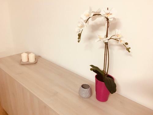Apartamento B&B Casina Della Principessa