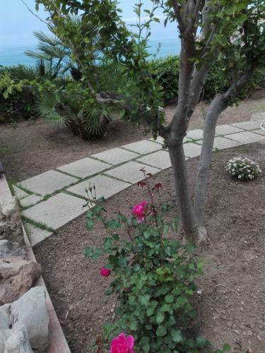 Residence Calav� Villa Rosa