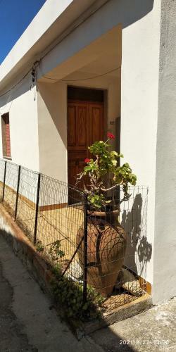 Dimora Tra Cielo E Mare A Gioiosa Marea