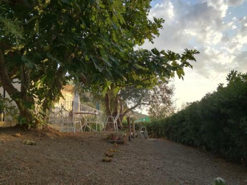 Apartamento Il Giardino Di Lucia