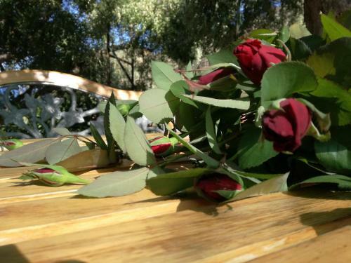 Apartamento Il Giardino Di Lucia