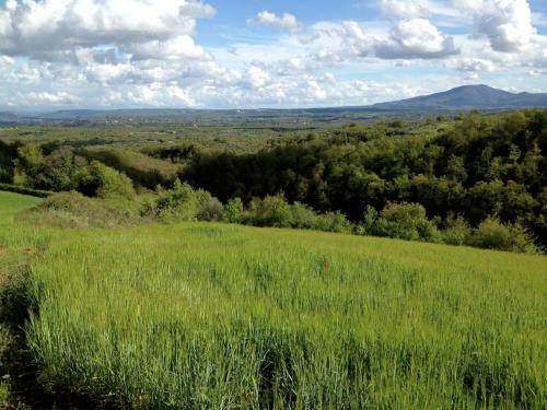 Cozy Villa In Graffignano Italy With Swimming Pool