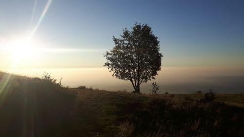 B&B La Coccinella Biologico