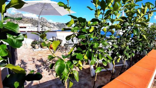 Apartamento Panoramic Terrace Room