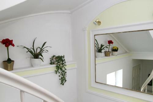 Bed & Breakfast Romantic-pension Albrecht