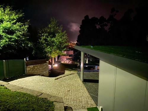 The Green Roof House