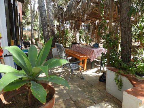 Apartamento Acacia Sul Mare