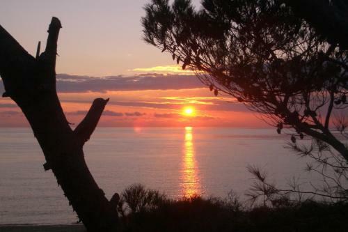 Apartamento Acacia Sul Mare