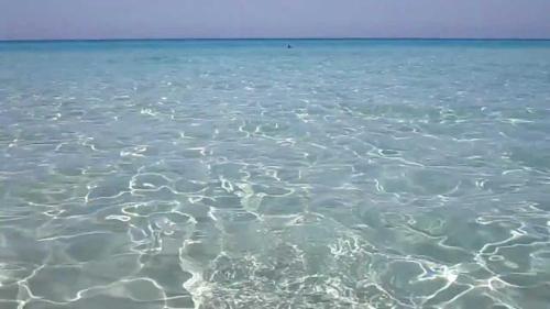 Gallipoli Lido 8