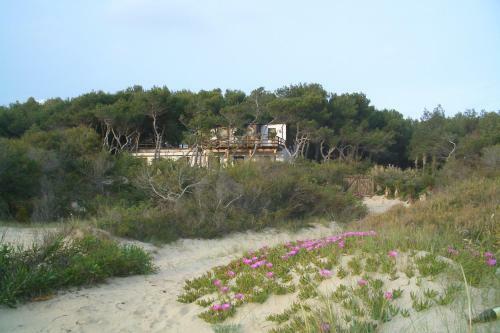 Apartamento Appartamento Yucca Frontemare