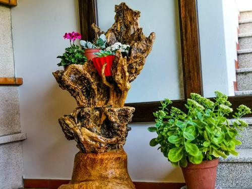 Agroturismo Casa Carolina