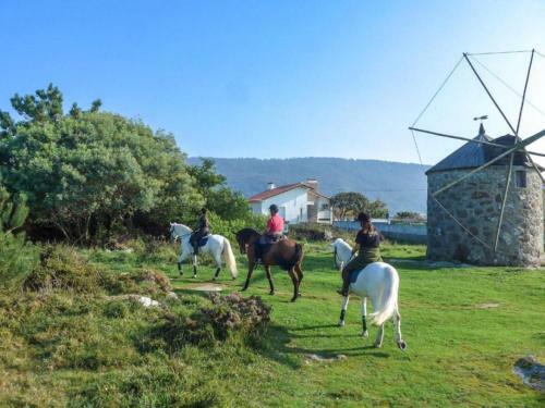 Private Gardened House - 5min From The Beach