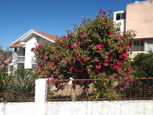 Hostal Casa Da Piedade, Vouzela