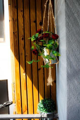 Ref�gio Da Vila - Refuge Of The Village