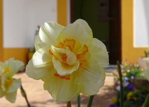 Hostal Mira Vila By Stay In Alentejo