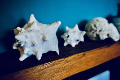 Apartamento G.a.p. Genova Aquarium Pentahouse