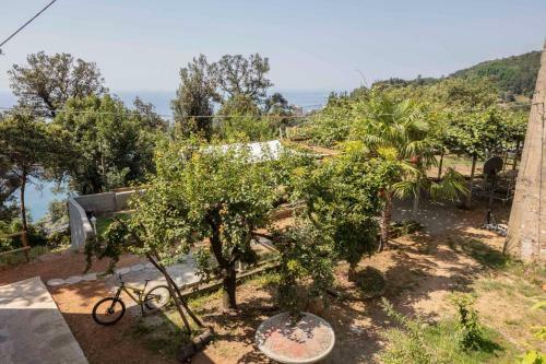La Brigna B&B Il Bosco Sul Mare