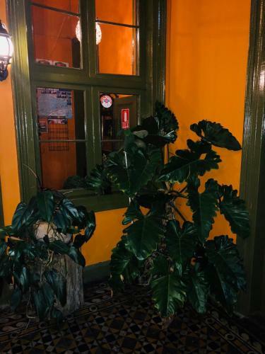 Hotel Domeyer Hostel