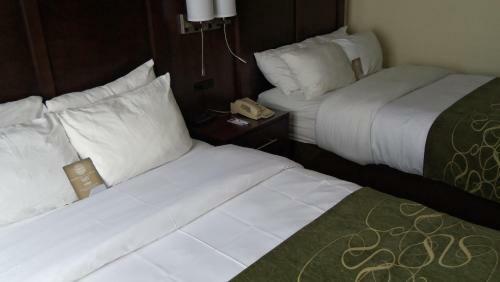 Hotel Comfort Suites - Weston