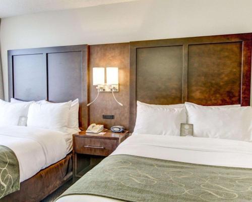 Hotel Comfort Suites - Weston