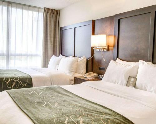 Hotel Comfort Suites - Weston