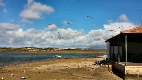 Lovely Apartment Alvor