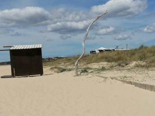 Apartamento Alvor Beach Emotion