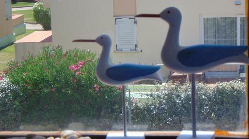 Apartamento Alvor Beach Emotion