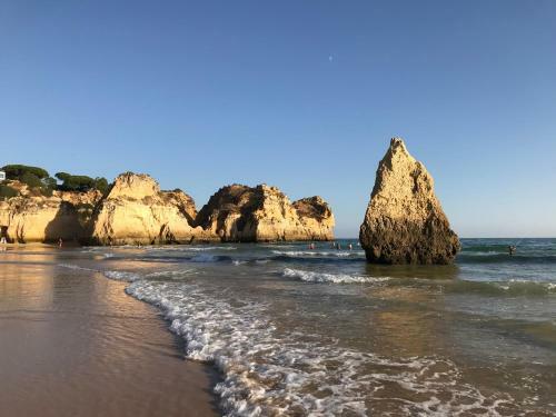 Apartamento Alvila Casa Grande