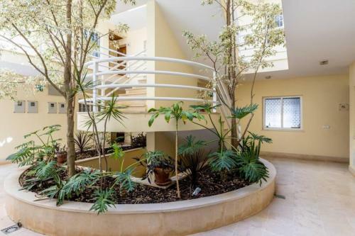 Apartamento Casa Amoreira - Caso Do Jop