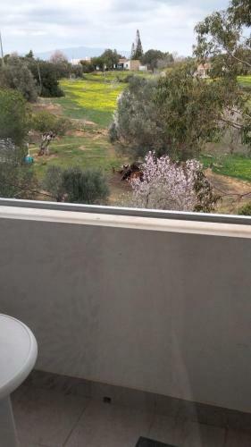Apartamento Appartement Alvor : Algarve 116458/al
