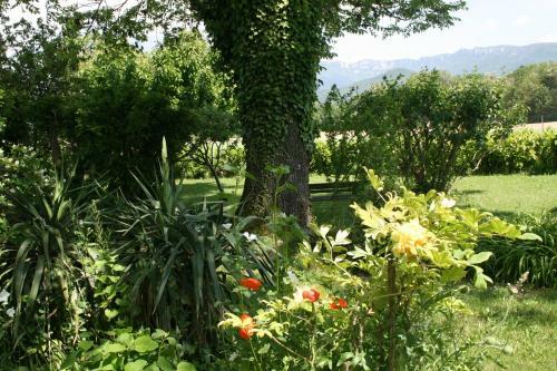 Hostal Le Domaine Des Rouges Queues