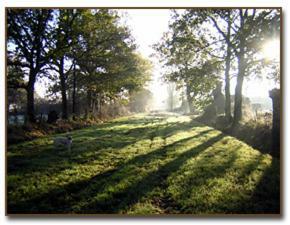 Bed & Breakfast Chambre D'h�te De L'�levage Du Lattay