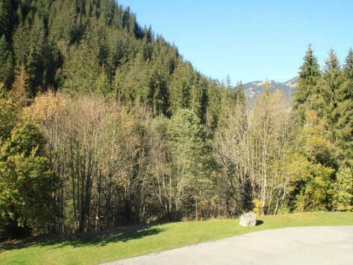 Apartamento Appartement Ch�tel, 1 Pi�ce, 3 Personnes - Fr-1-200-345