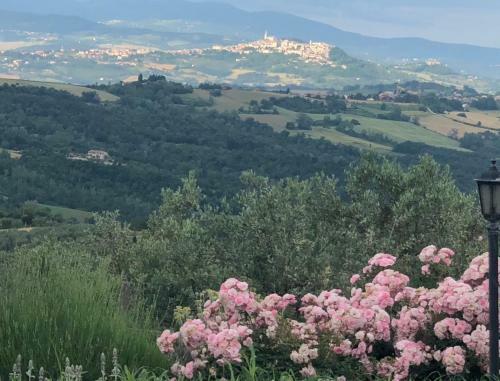 Villa Millefiore