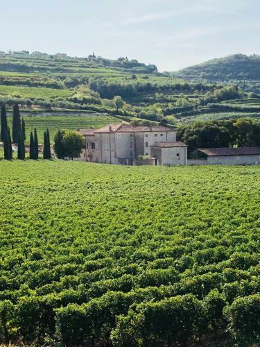 Apartamento Appartamento "cao Di Sopra"
