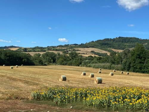 Apartamento Locazione Turistica Gaudium