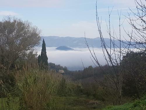 Apartamento La Bellana