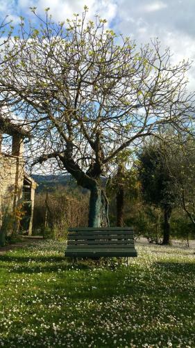 Villa Marchigiana Ca' Guerra