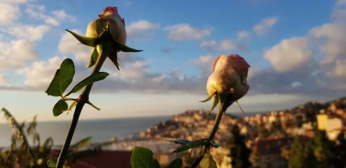 Apartamento Adelebeppe "the Seaview"