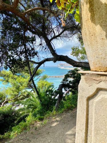 Sea View Suite Apartment In Historic Villa, Exclusive Experience