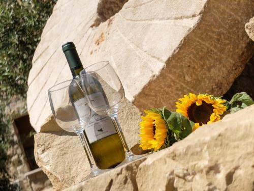 Agroturismo Terrazze Sul Tirreno